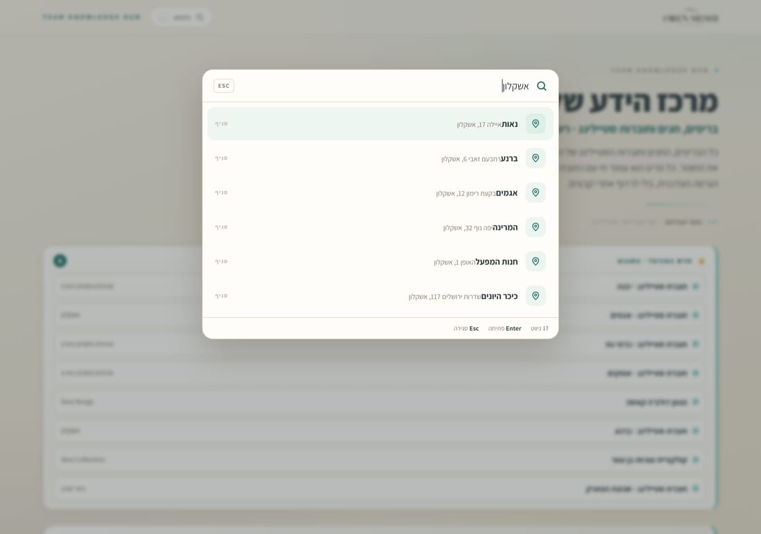 מנוע החיפוש